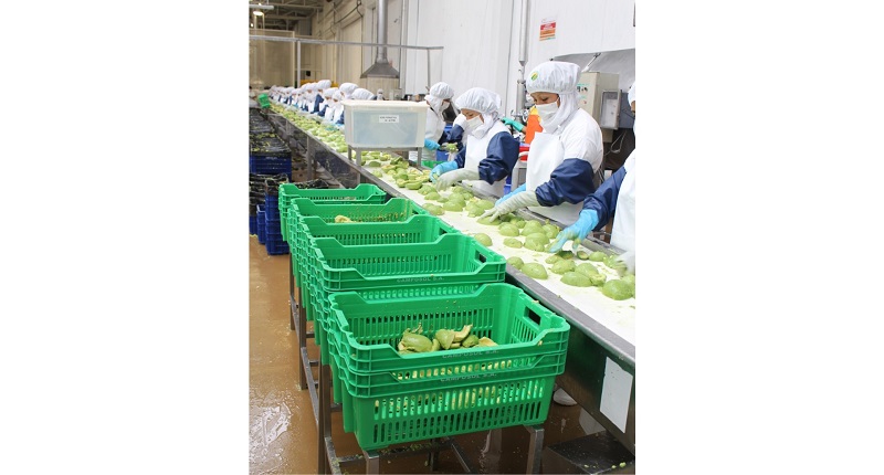 Agroexportaciones sumaron US$ 5 mil 467 millones