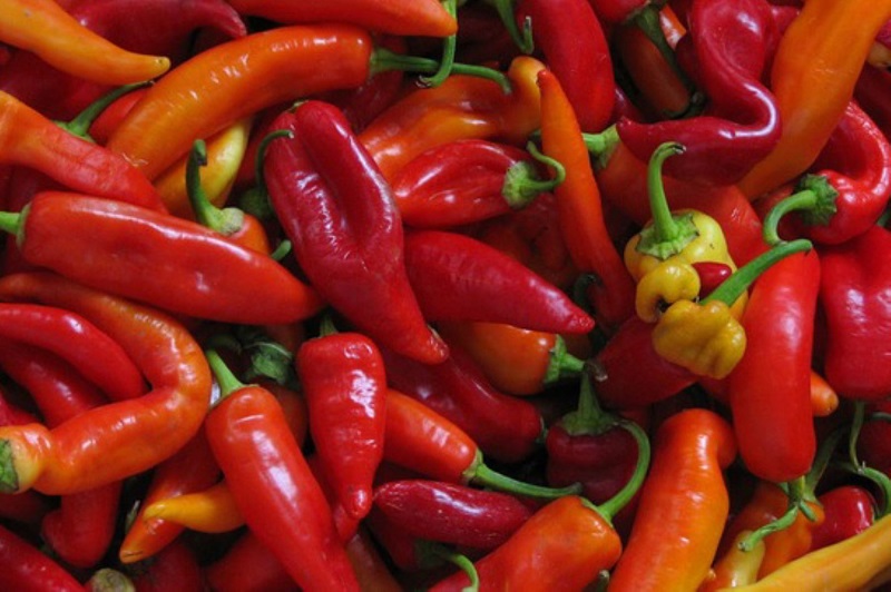 Ajíes peruanos aspiran integrar Lista del Patrimonio Cultural Inmaterial de la Unesco