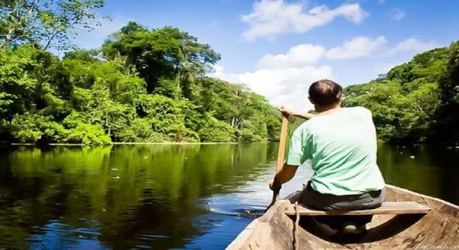 De un modelo extractivo-mercantil y primario exportador a una bioeconomía diversificada y sostenible