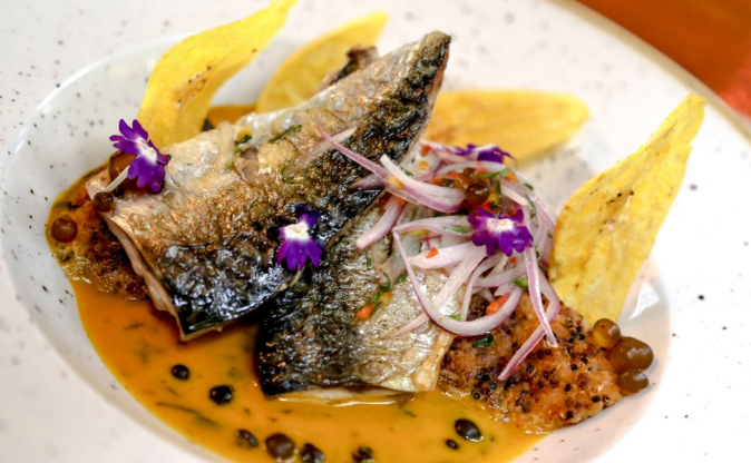 Captura de caballa para todo tipo de flota fue ampliada en todo el litoral