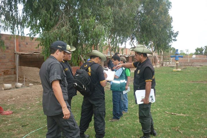  Decomisan animales de la Quinta "Hawai