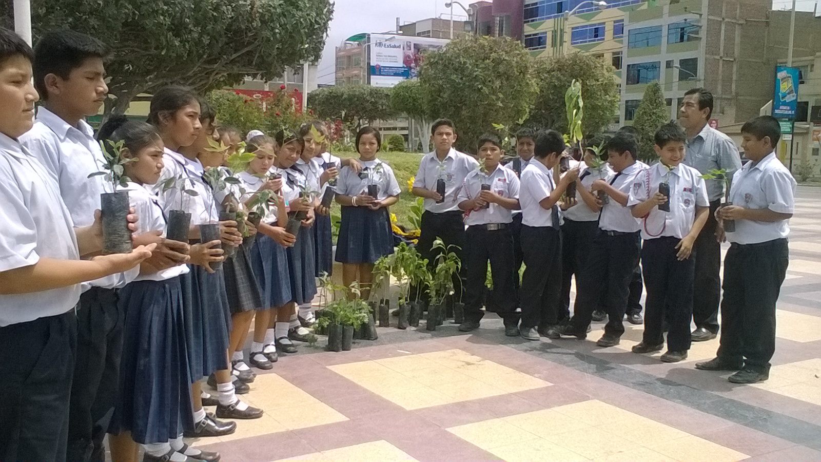 En el distrito de JLO regalaron plantas para mitigar contaminación ambiental