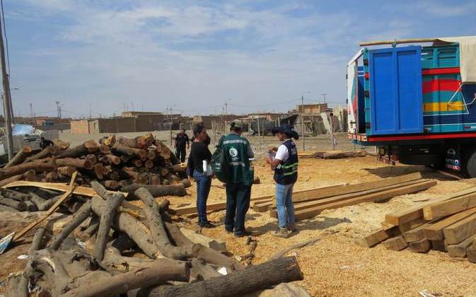 Autoridades intervinieron 13 astilleros ilegales en caleta San José