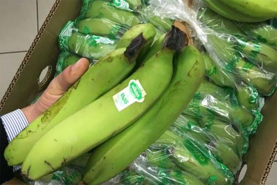 Chiclayo: banano orgánico y espárrago serán las estrellas de la  Expo Perú Norte 2018