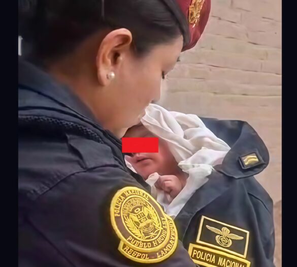 Policías rescatan a recién nacido abandonado en una caja de cartón en José Leonardo Ortiz 