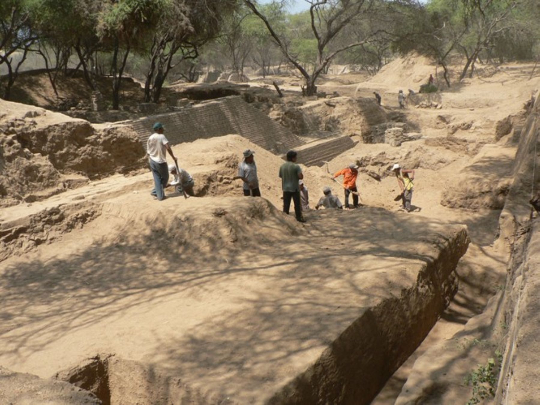 Visitas al Santuario Bosque de Pómac se duplicaron durante Fiestas Patrias