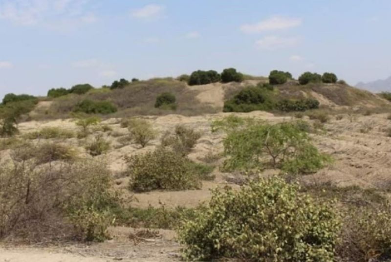 Lambayeque: determinan protección provisional de sitio arqueológico Huaca Alto Perú