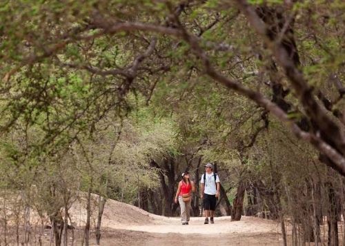 ¿Cuántos feriados largos están pendientes este 2019?