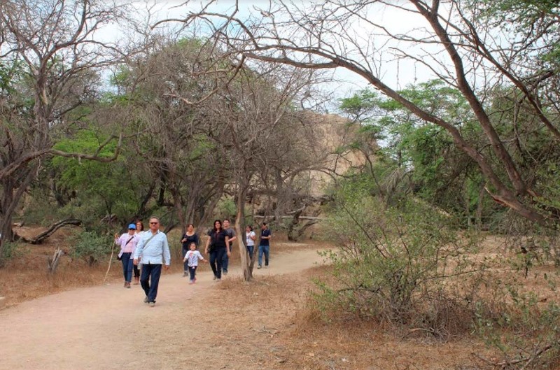 Gerencia de Transporte anuncia recuperación de transitabilidad al Santuario de Pómac