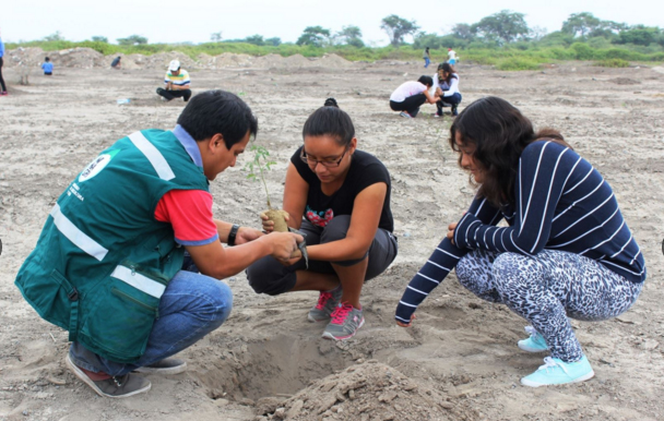Lambayeque: 1500 hectáreas de bosque seco fueron reforestados 