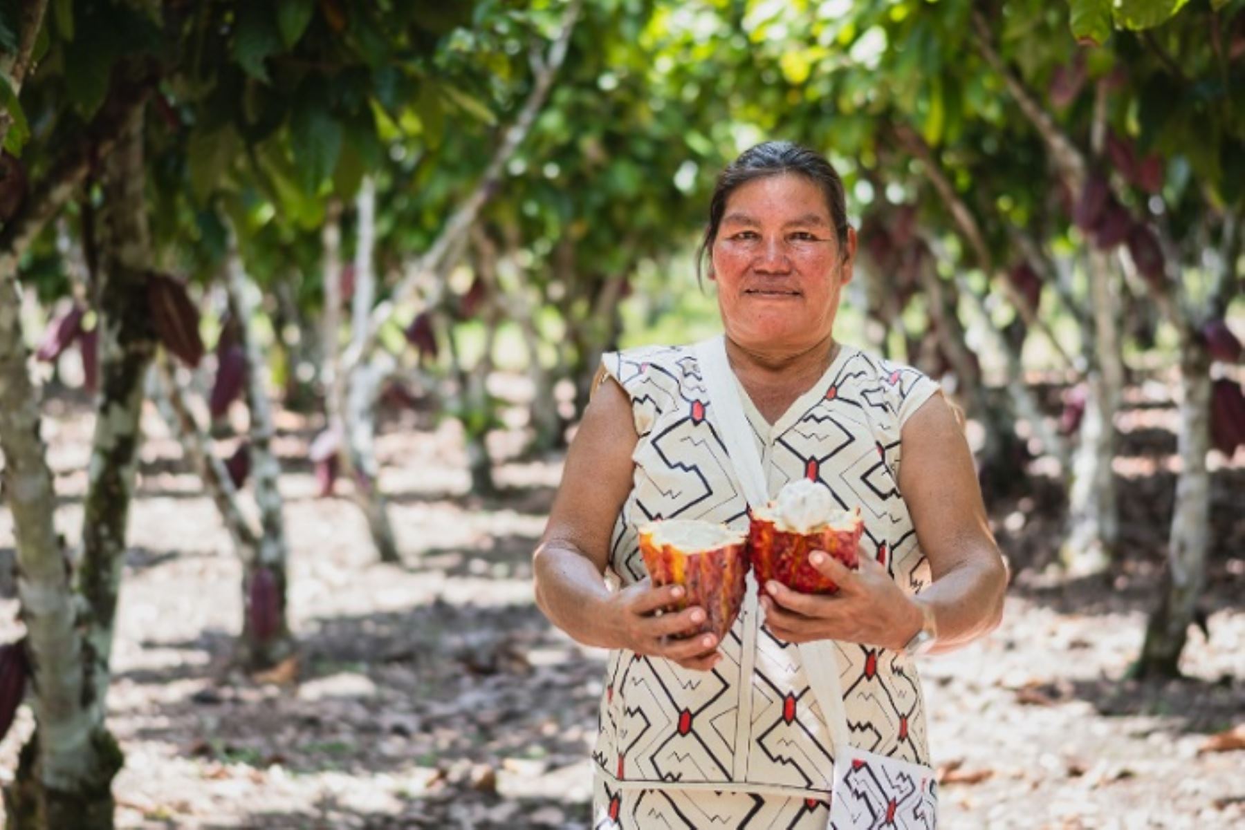 Pequeños productores de cacao y café podrán acceder a incentivos del Gobierno