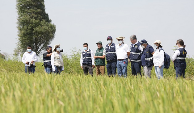 Implementan estación meteorológica para monitoreo agroclimático en Lambayeque 