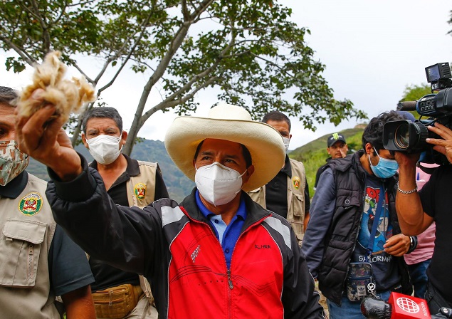  Rotundo rechazo a declaraciones de Castillo por decir “el feminicidio es producto de la ociosidad”