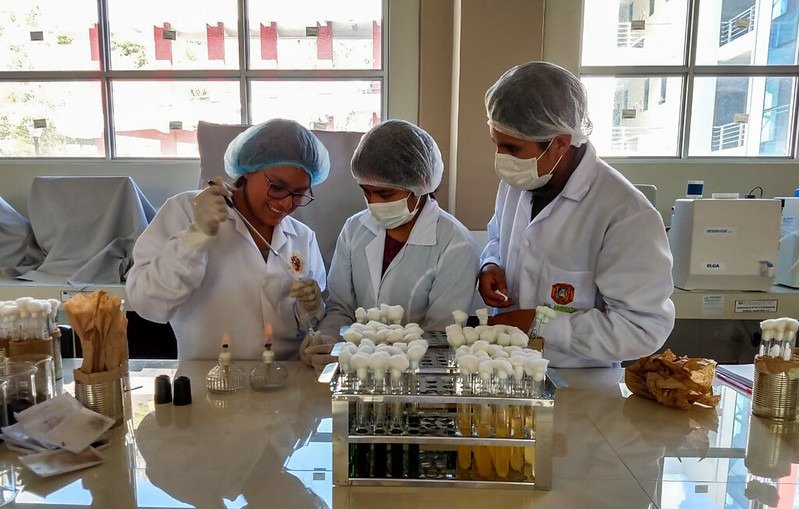 Compromiso de Servicio al Perú: cuáles son los deberes de los becarios Pronabec  