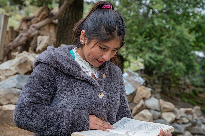 Conoce qué carreras profesionales y cursos ofrece Beca Perú 2021 