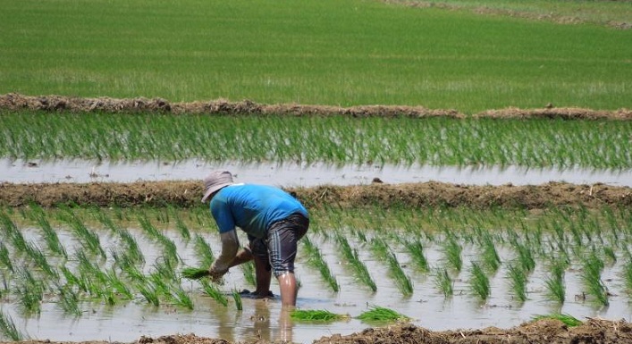 Realizan simposio sobre Fenómeno del Niño y medidas de prevención