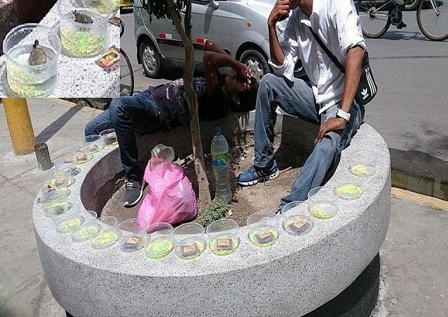 Denuncian venta ilegal de Taricayas en pleno centro de Chiclayo