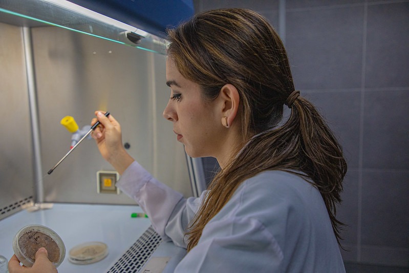 Universidad de Australia ofrece becas para maestrías y doctorados 