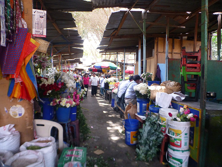 Mañana desalojan a comerciantes del exvivero San Luis