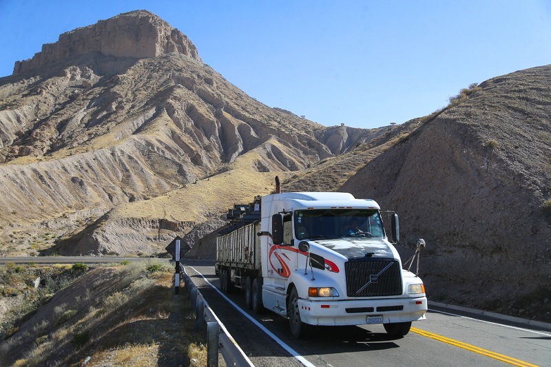 Comunidad Andina da la razón a Perú en reclamo contra Bolivia por diferenciación de precios del combustible