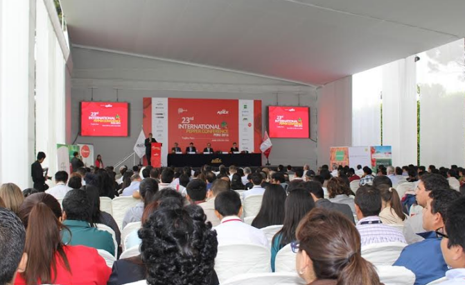 Cada peruano consume más de 4 kilos de ajíes al año