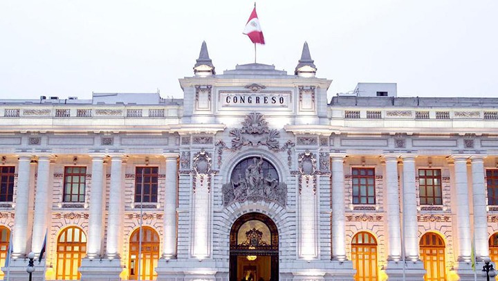 Aprueban proyecto de ley que protege a víctimas sobrevivientes de  violencia contra la mujer 