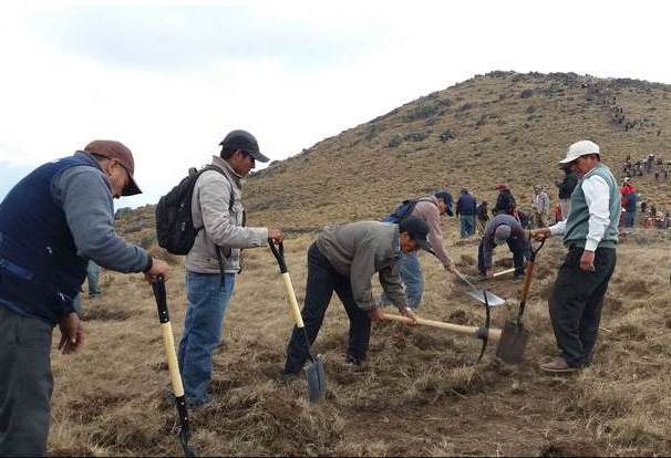 Con 12 kilómetros de cortinas cortafuego evitarán rebrote de incendio en Incahuasi