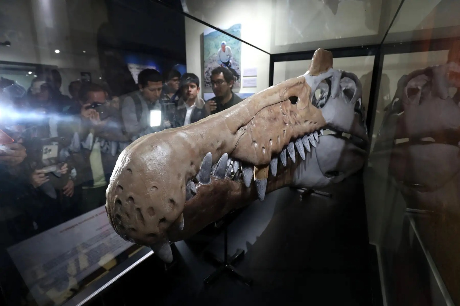 ¿Cómo visitar al feroz dinosaurio que habitó en Perú?