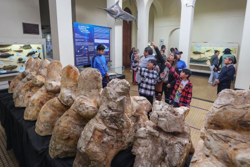 Científico peruano: "El boom de la paleontología en el Perú está por llegar”