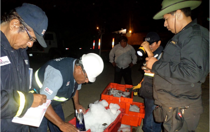 Decomisan 7 000 kilos de recursos marinos por pesca ilegal en Lambayeque
