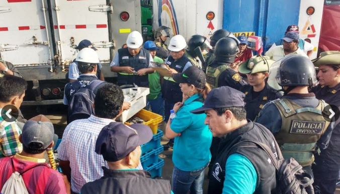 Decomisan 8 toneladas de bonito y caballa en Mocupe