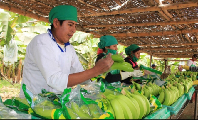 Lambayeque tiene demanda laboral insatisfecha, según Sineace