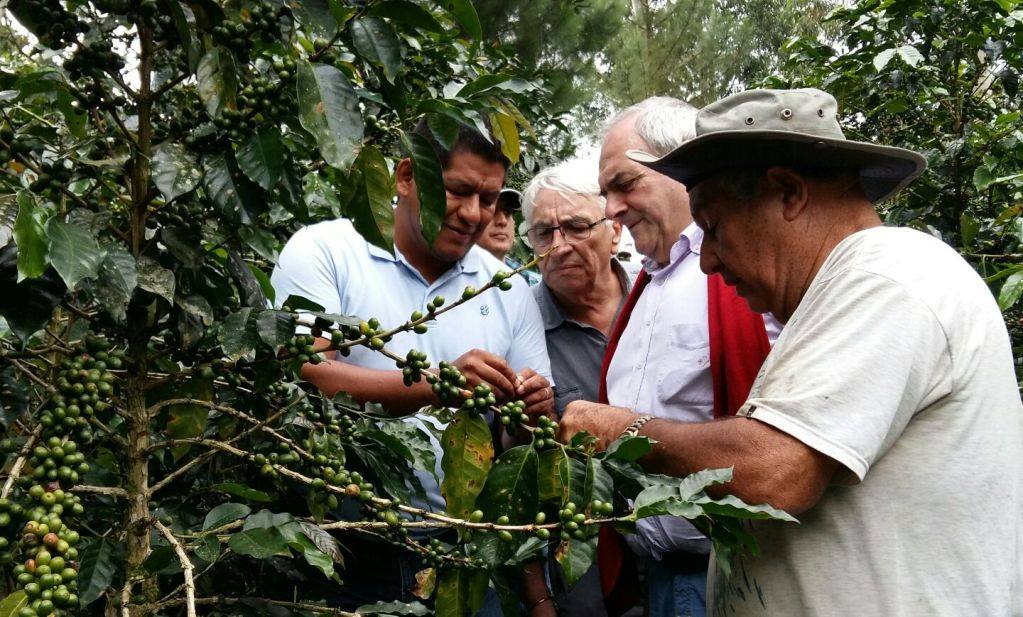 Despachos agrarios al exterior se redujeron -0.8% a junio