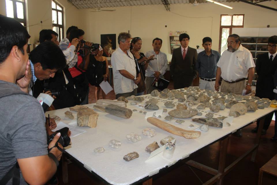 Donaron a Museo Tumbas Reales colección paleontológica de 70 millones de años 