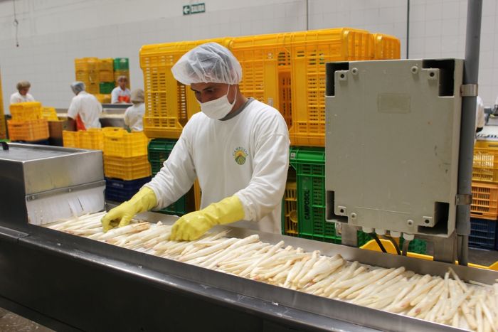 Se incrementó en 4.2% el número de empresas peruanas exportadoras