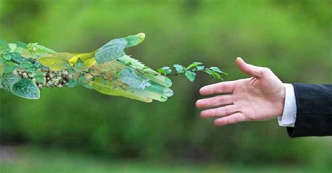 El escozor por Escazú