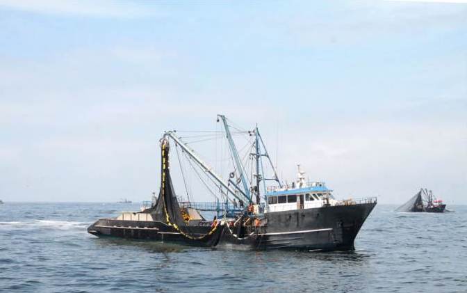 Perú, Chile y Ecuador contra pesca ilegal en sus litorales