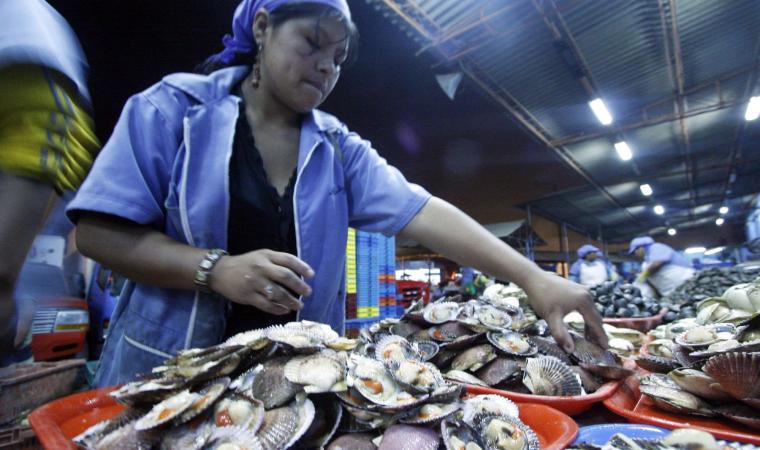 Empresas pesqueras piden agilizar procesos sanitarios para la exportación