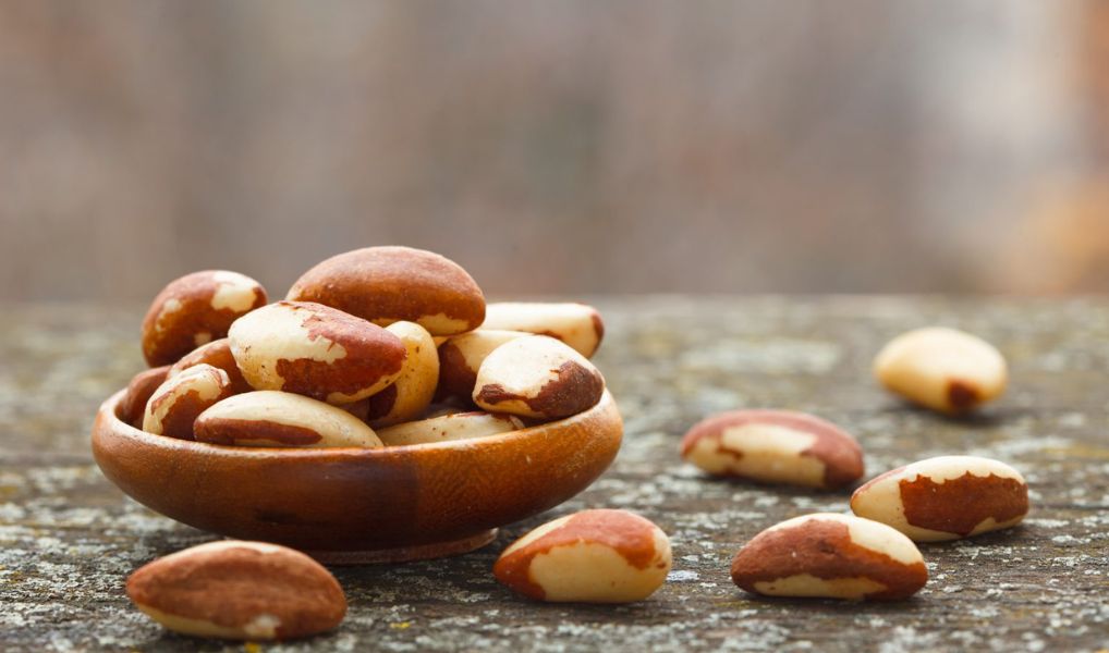 Perú es el tercer mayor exportador de castaña en el mundo