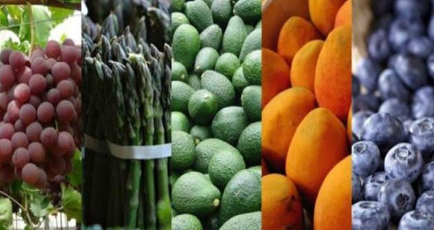 Número de empresas exportadoras creció 5.5 % a junio del 2025