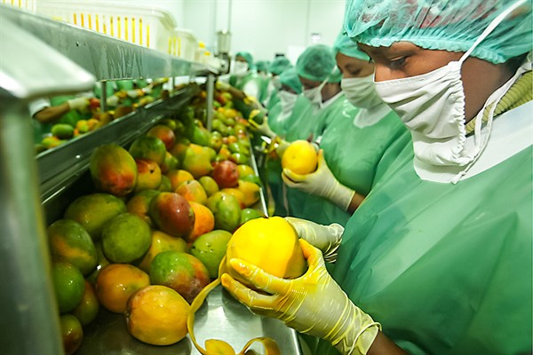 Sector agropecuario creció 12.4% a nivel nacionale