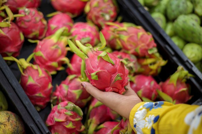 Inacal aprueba 33 nuevos documentos técnicos para impulsar la calidad y competitividad en sectores productivos 