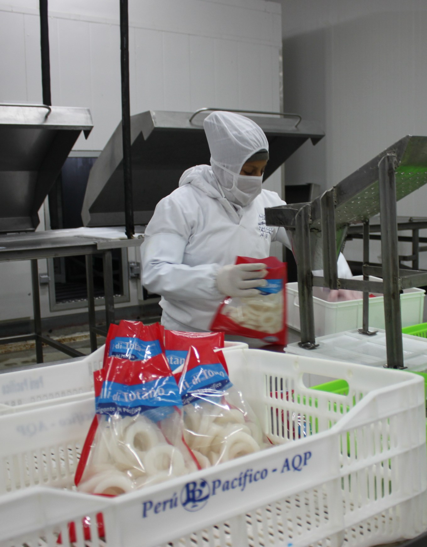 Exportaciones de la macro región Norte crecieron 4 por ciento