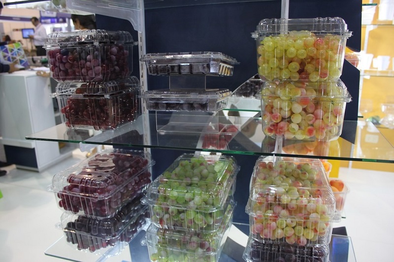 Exportación de frutas y hortalizas cerró en azul el 2019