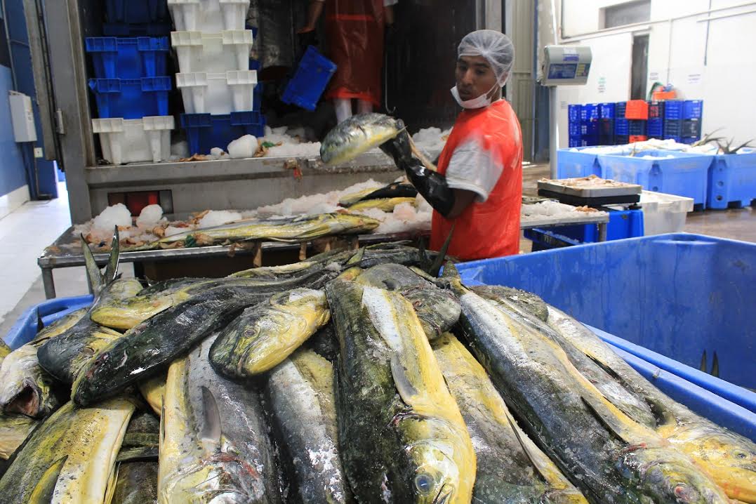 Adex: exportaciones crecieron 30% en el primer trimestre del 2017