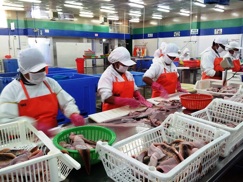 Despachos regionales crecen 18.2% entre enero y agosto de este año