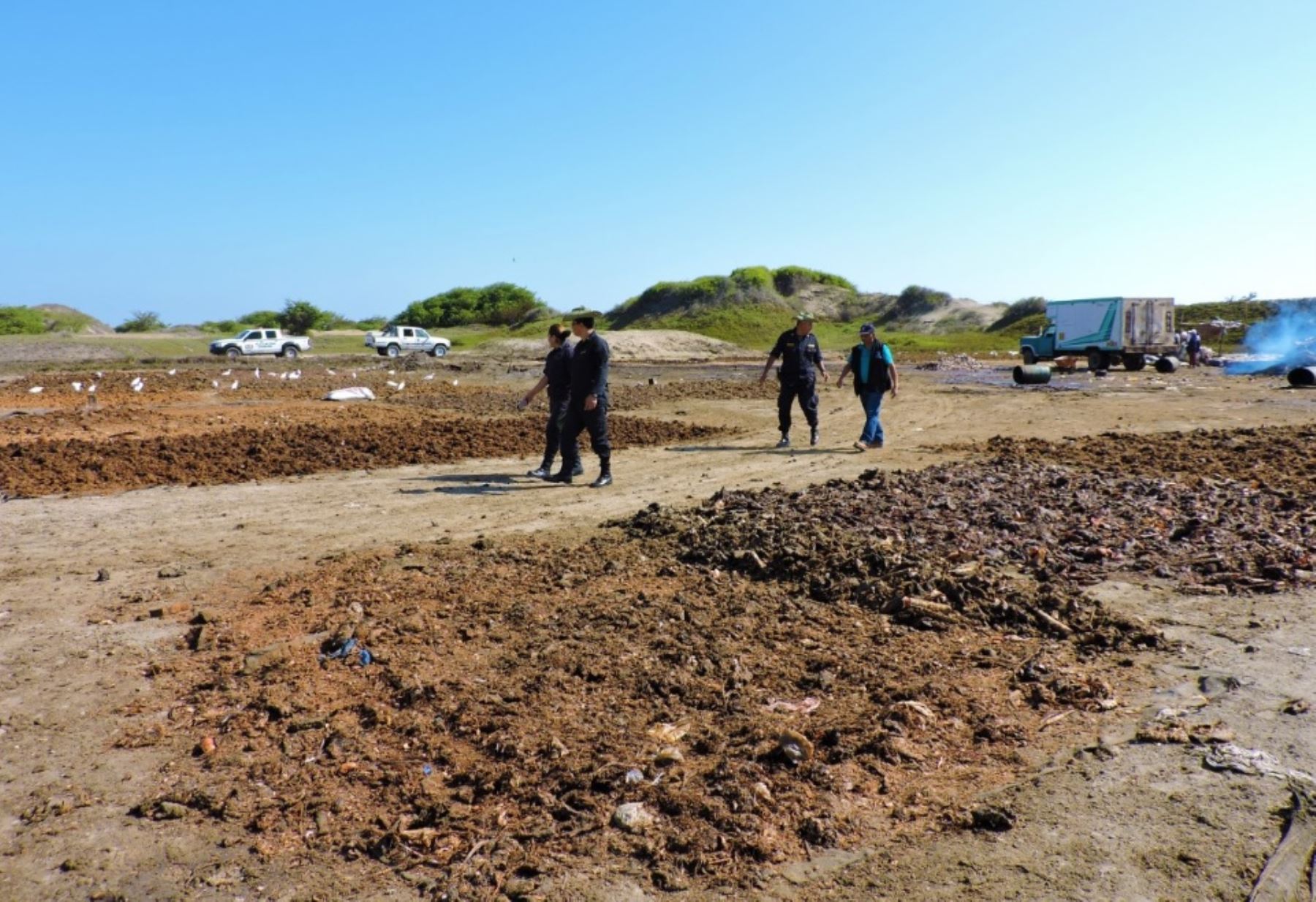 Encuentran fábrica clandestina de secado de pescado en Monsefú