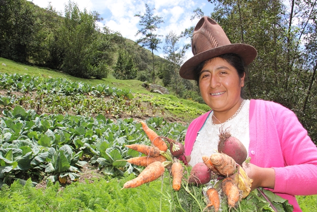 Beneficiarios de Haku Wiñay emprenden proyectos para dejar atrás la pobreza