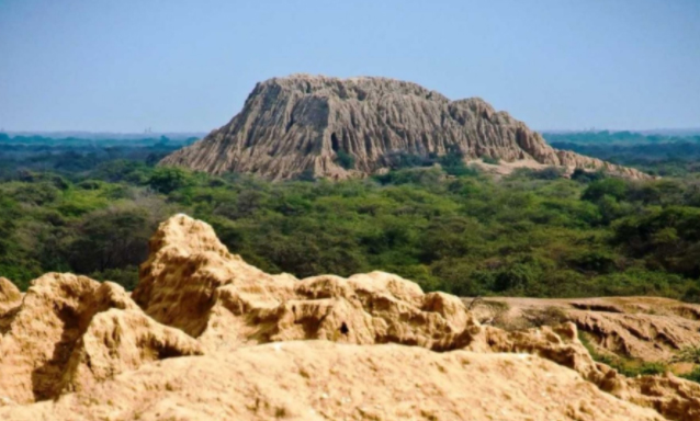FIP y Cáritas dinamizarán producción en Bosque de Pómac