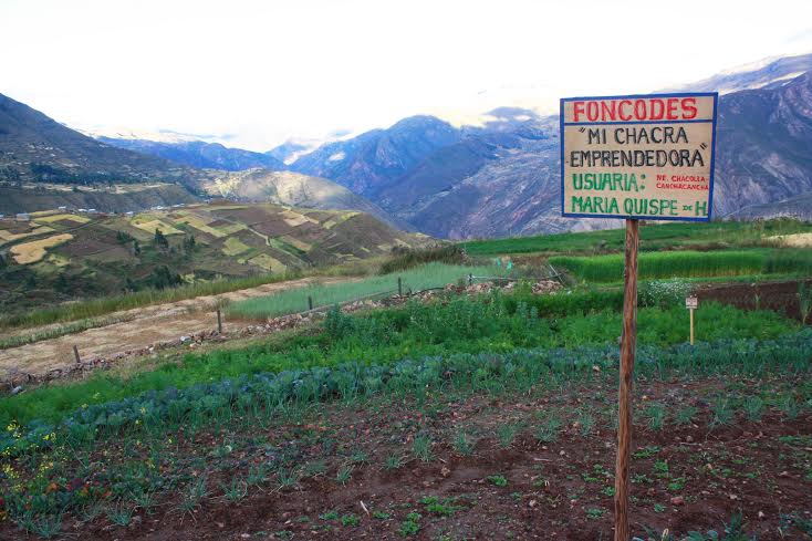 Foncodes financiará proyectos en más de 90 mil hogares rurales del país